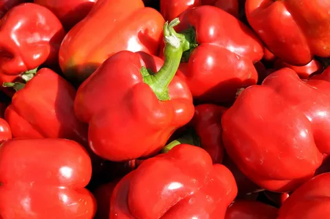 تصویر 3 از فلفل دلمه سرخ درشت براق روزچین یکدست ممتاز